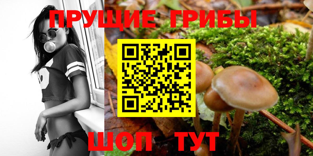 Галлюциногенные грибы MAGIC MUSHROOMS Богородск